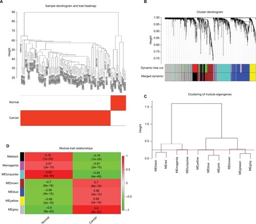 Figure 6 Hub module selection.Notes: (A) Samples clustering of GSE18520 and GSE27651. The clustering was based on the expression data of differentially expressed genes between tumor samples and normal samples in EOC. The color intensity was proportional to tumor samples and normal samples. (B) Dendrogram of all differentially expressed genes clustered based on a dissimilarity measure (1-TOM). (C) Dendrogram of consensus module eigengenes obtained by WGCNA on the consensus correlation. The red line was the merging threshold, and groups of eigengenes below the threshold represent modules whose expressions profiles should be merged due to their similarity. (D) Correlation between modules and traits. The upper number in each cell referred to the correlation coefficient of each module in the trait, and the lower number was the corresponding P-value. Among them, the turquoise module was the most relevant module with cancer traits.Abbreviation: TOM, topological overlap matrix.