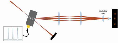 Figure 5. When three radio-frequency signals are fed to an acousto optical deflector, three first order diffraction beams emerge. In the Fourier plane of the AOD this translates to three separate optical tweezers with positions controlled by the frequency and potential depths controlled by the power of the corresponding radio-frequency signals.