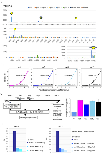 Figure 2. Identification of tumor antigens recognized by CD8+ T cells.