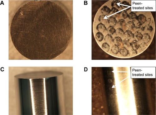 Figure 6 Laser-peened Ti samples.Notes: Sample set 1 used for osteoblast cell function studies: (A) control and (B) peen-treated sample set. Sample set 2 used for static tests: (C) control and (D) peen-treated samples.Abbreviation: Ti, titanium.