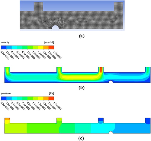 Figure 3. Schematic of (a) part of the discretized computational domain, (b) velocity distribution in computational domain, and (c) pressure distribution in computational domain (Hch = 1 mm, L3 = 9 mm, vch = 1 mm/s, m˙1/m˙2=1, m˙3/m˙4=2.2, Hbias = 0.5 Tesla).