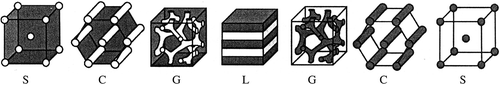 Figure 11. Schematic illustration of the nanostructures formed by an AB diblock copolymer in the bulk. The various phases are: S (spheres), C (hexagonally-packed cylinders), G (double gyroid), and L (lamellae). The white and grey domains represent the A and B blocks, respectively, as the fraction of A in the copolymer increases from left to right (figure taken from Lodge et al., Citation2005, with permission of the Royal Society of Chemistry, London).