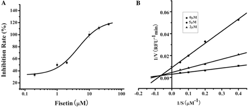 Figure 4.  Inhibition activity of fisetin against cd-MMP-1. (A) Effect of fisetin against cd-MMP-1, the data points are means ± SE for triplicate experiments. (B) Lineweaver-Burk plots for inhibitory activity of Fisetin (0, 2 and 5 μM) on cd-MMP-1 activity with the concentration of the substrate range from 2.5 μM to 20 μM. Each value was the mean of three independent experiments.