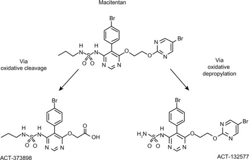 Figure 1 Macitentan and its two metabolites.
