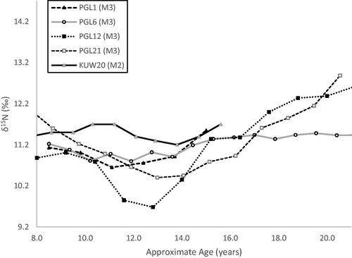 Figure 2. Incremental dentine δ15N profiles of Seventeenth century Scottish soldiers and Nineteenth century Irish men from Kilkenny Union workhouse famine cemetery ( adapted from Beaumont and Montgomery Citation2016; Millard et al. Citation2020).