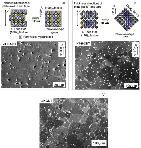 Figure 6. SEM images of (a) {100}pc-textured CT–R–CNT and (b) {110}pc-textured NT–R–CNT ceramics for the polished and thermally etched sections that were perpendicular to the original tape surfaces as well as (c) conventionally processed CP-CNT ceramic, sintered at the same temperature. Schematic diagrams for the formation of aligned grains with {100}pc facets are also displayed.