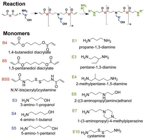 Figure 1 Monomer structures used to synthesize polymers. Backbone (B) monomers were polymerized with sidechain (S) monomers. The B-S base polymers were then endcapped with small molecules (E).