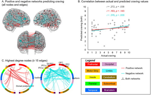 Figure 1. Positive and negative networks predicting craving and model performance. Part A presents positive (red) and negative (turquoise) networks resulting from CPM analysis that predicted craving. Larger spheres represent nodes with higher degrees. Part B shows the association between actual and predicted craving values based on the positive (red) networks, negative (turquoise), and both networks together (gray). Part C shows all nodes predicting craving with a degree of 15 or higher and their corresponding edges separated for positive and negative networks based on macroscale brain networks as implemented in the Shen 268 atlas (Shen et al. Citation2013). Brain regions are presented in approximate anatomical order (see legend for description of regions). Longer-range connections represent connections with regions more distant than shorter-range connections. The left part of the circle figures represents the right hemisphere and the right part the left hemisphere.