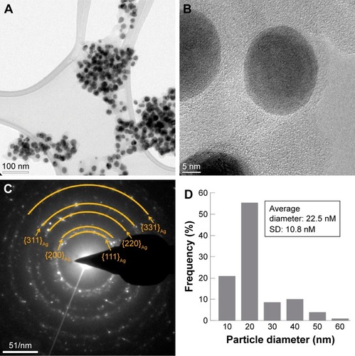 Figure 1 Electron microscopic characterization of crystalline structure, size, and shape distributions of the Ag-NPs.Notes: (A) Low-resolution TEM micrograph of the Ag-NPs. (B) High-resolution TEM micrograph of the Ag-NPs. (C) SAED pattern of the Ag-NPs with the rings labeled. (D) Histogram of the particle diameter size distribution of the Ag-NPs.Abbreviations: Ag-NPs, silver nanoparticles; SAED, selected area electron diffraction; TEM, transmission electron microscopy.