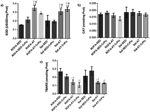 Figure 5. Oxidative stress in gastrocnemius muscle after 12 weeks of chromium picolinate (CrPic) supplementation and aerobic exercise intervention in rats exposed to residual oil fly ash (ROFA). Analyses of (a) superoxide dismutase (SOD) activity in gastrocnemius tissue; (b) catalase (CAT) activity in gastrocnemius tissue and (c) thiobarbituric acid-reactive substance (TBARS) levels in gastrocnemius tissue. Values presented as mean ± SD. Statistical analysis: one-way ANOVA followed by Tukey’s post hoc test. ROFA-SED, ROFA exposure and sedentary (n = 8); ROFA-SED-CrPic, ROFA exposure, sedentary and supplemented (n = 6); ROFA-AT, ROFA exposure and trained (n = 8); ROFA-AT-CrPic, ROFA exposure, supplemented and trained (n = 7); Sal-SED, sedentary (n = 8); Sal-SED-CrPic, sedentary and supplemented (n = 8); Sal-AT, trained (n = 8); Sal-AT-CrPic, supplemented and trained (n = 8). Symbols represent comparisons among groups based on the post hoc analysis: *P < .05 vs. ROFA-SED; @P < .05 vs. ROFA-SED-CrPic; #P < .05 vs. Sal-SED; †P < .05 vs. Sal-SED-CrPic.