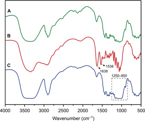 Figure 1 FT-IR of (A) unmodified CNCs, (B) CNCs-poly(APMA), (C) CNCs-β-CD.