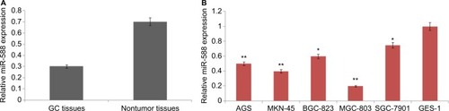 Figure 1 Expression of miR-588 in selected GC cell lines and tissues.Notes: (A) The mean levels of miR-588 in GC tissues were significantly on the lower side compared to adjacent nontumor tissues (*P<0.01 compared to noncancer tissues). (B) The expression of mean miR-588 levels in different GC and GES-1 cell lines (*P<0.05, **P<0.01 compared to control GES-1 cells).Abbreviation: GC, gastric cancer.