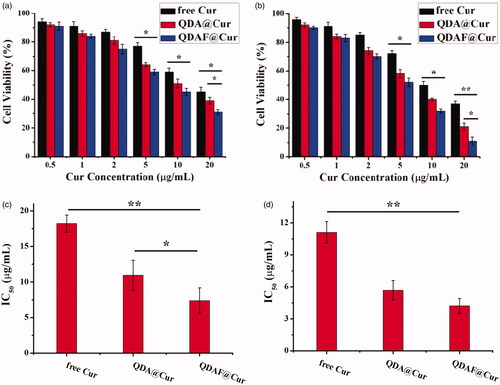 Figure 7. In vitro cytotoxicity of free Cur, QDA@Cur, and QDAF@Cur in MCF-7 cells after treatment for 24 h (a) and 48 h (b). The IC50 of free Cur, QDA@Cur, QDAF@Cur after administration for 24 h (c) and 48 h (d).