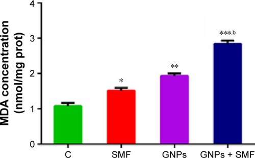 Figure 5 Effects of gold nanoparticles and static magnetic field on pulmonary MDA level.Notes: Results represent mean ± SD of six animals per group. *P<0.05; **P<0.01; ***P<0.001 compared with control rats. bP<0.01 compared with GNPs-treated group. Results are in response to a one-way analysis of variance.Abbreviations: C, control; GNPs, gold nanoparticles; MDA, malondialdehyde; prot, protein; SMFs, static magnetic fields; SD, standard deviation.