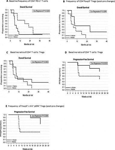 Figure 4. Kaplan-Meier plots showing the predictive immune correlates of responses to tivozanib treatment in HCC patient. Association between immunophenotypic signatures and OS or PFS of patients was calculated as described in methods. (A) OS of the patients and increased frequencies of baseline CD4+PD-1+ T cells (HR = 0.92, 95% CI: 0.9–1.0, P = 0.02). (B) Reduction in the frequencies of CD4+Foxp3+ Tregs (post- pre changes) (median reduction: −2.5, range: −7.6 to −0.8), quantified after tivozanib therapy and OS of the patients (HR = 1.6, 95% CI: 1.0–2.3, P = 0.03). (C) Low baseline ratio of CD4+T effector cells to Foxp3+ Tregs and OS of the patients (HR = 1.2, 95% CI: 1.0–1.5, P = 0.046) as well as (D) Low baseline ratio of CD4+T effector cells to Foxp3+ Tregs and PFS of the patients at 24 weeks (HR = 1.4, 95% CI: 1.0–1.9, P = 0.03). (E). Decrease in the frequencies of Foxp3+c-Kit+pERK+Tregs (post-pre changes) and PFS of the patients at 24 weeks (HR = 1.2, 95% CI: 1.0–1.5, P = 0.03).