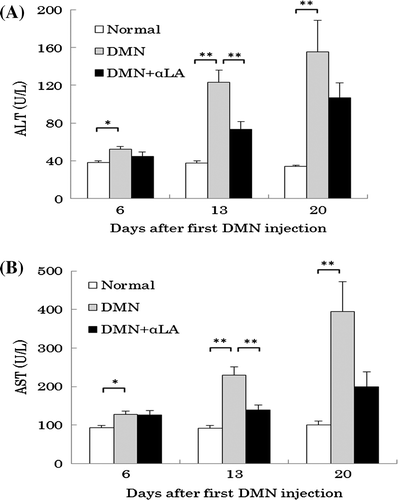 Fig. 1. Effect of αLA on ALT (A) and AST (B) levels in plasma of DMN-treated rats.