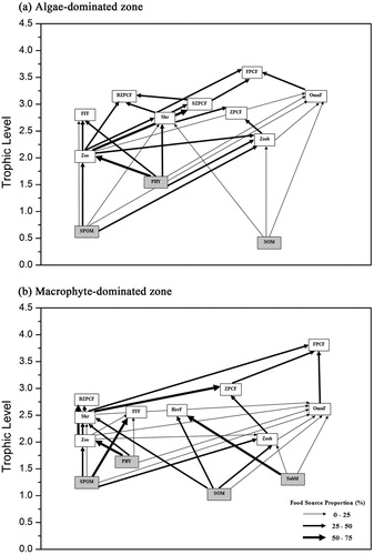 Figure 5. Food webs of (a) algae- and (b) macrophyte-dominated zones in Lake Taihu, based on stable isotope analysis. The line width represents proportional contribution of food source. SPOM = suspended particulate organic matter, PHY = phytoplankton, SOM = sediment organic matter, Zoo = zooplankton, Zoob = zoobenthos, Shr = shrimp, FFF = filter-feeding fish, HerF = herbivorous fish, OmnF = Omnivorous Fish, SZPCF = small carnivorous fishes (total length <10 cm) which prefer to eat zooplankton, BZPCF = big carnivorous fishes (total length >10 cm) which prefer to eat zooplanktion, ZPCF = carnivorous fishes which prefer to eat zoobenthos, FPCF = carnivorous fishes which prefer to eat fishes.