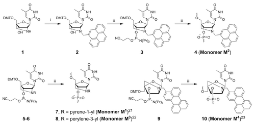 Scheme 1. Preparation of modified monomers MCitation1−MCitation4. Reagents, conditions (and yields): (i) pyrene-4-carbaldehyde, NaBH(OAc)3, 1,2-dichloroethane, rt (87%); (ii) NC(CH2)2OP(Cl)N(iPr)2, DIPEA, CH2Cl2, rt (91%); (iii) DNA synthesizer. DMT = 4,4´-dimethoxytrityl.