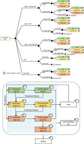 Figure 1 A hybrid decision tree and Markov model. Model states in five diagnostic algorithms.