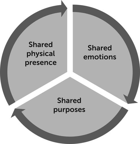 Figure 1. Co-occupation enables shared presence, emotion and purpose (from Pickens & Pizur-Barnekow, Citation2009, p. 153)
