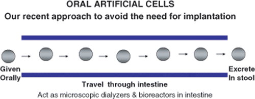 Figure 4. Our recent approach of giving artificial cells orally to avoid the need for implantation. This way, each artificial cell as it travels through the intestine, acts as a microscopic dialyzer. By placing enzyme or other bioreactants inside the artificial cells, they can act as combined dialyzer–bioreactors on their passage through the intestine. After carrying out their function, they are excreted in the stool. Thus there is no accumulation in the body.