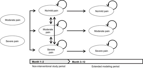 Figure 1 Framework of the Markov model used for analysis. Pain severity categories were determined based on a numerical rating scale (NRS) score for pain severity (range: 0 to 10). Three severity categories were defined as follows: no/mild pain (NRS score 0‒3), moderate pain (4‒6), and severe pain (7‒10).