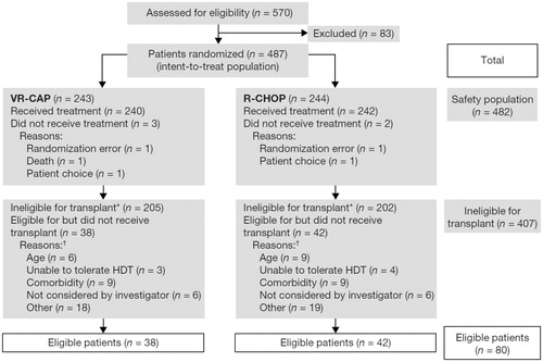 Figure 1. CONSORT diagram. HDT: high-dose therapy; R-CHOP: rituximab, cyclophosphamide, doxorubicin, vincristine and prednisone; VR-CAP: bortezomib, rituximab, cyclophosphamide, doxorubicin and prednisone. *Based on retrospective medical monitor review; age ≥60 years or medical reasons. †Reasons why patients did not undergo transplantation, as assessed by the treating physician at study commencement (more than one reason may have been recorded for each patient).