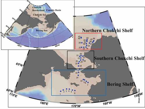 Figure 1. Sampling locations of C255 Cruise by the training ship Oshoro-Maru of Hokkaido University during July 2013.