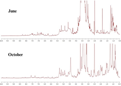 Figure 3. Overlapping of 1H NMR spectra in DMSO-d6, at the power of 500 MHz for the extracts of J. brandegeeana obtained from the collections of June 2021 and October 2021.
