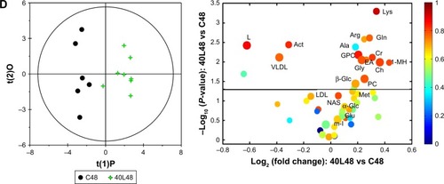 Figure 3 OPLS-DA scores and corresponding volcano plots from the plasma.Notes: Orthogonal projection to latent structures with discriminant analysis (left panels) and corresponding volcano plots (right panels) derived from 1H nuclear magnetic resonance data of the plasma obtained from the different pairwise groups: C6-10L6 (A), C6-20L6 (B), 20L6-20H6 (C), and C48-40L48 (D). C, L, and H represent the control and low- and high-dose groups, respectively, 6 and 48 represent 6 and 48 hours posttreatment, respectively, and 10, 20, and 40 represent Fe@Si NPs of 10, 20 and 40 nm, respectively. Marked circles in color volcano plots represent metabolites with statistically significant differences.Abbreviations: OPLS-DA, orthogonal projection to latent structures with discriminant analysis; Fe@Si, Fe3O4@SiO2-NH2; NPs, nanoparticles; AA, acetoacetate; Act, acetone; Ala, alanine; All, allantoin; Arg, arginine; Bet, betaine; Ch, choline; Cr, creatine; EA, ethanolamine; For, formate; G, glycerol; Glc, glucose; Gln, glutamine; Glu, glutamate; Gly, glycine; GPC, glycerolphosphocholine; HB, hydroxybutyrate; Ile, isoleucine; L, lipid; Lac, lactate; LDL, low-density lipoprotein; Leu, leucine; Lys, lysine; MH, methylhistidine; m-I, myo-inositol; Met, methionine; Mol, methanol; NAS, N-acetyl glycoprotein signal; PC, phosphocholine; Suc, succinate; Val, valine; VLDL, very-low-density lipoprotein.