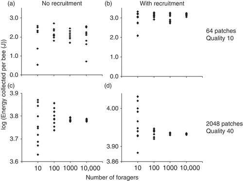 Figure 2. Total energy collected by the simulated bees as it depends on group size. Each data point is a simulation run. The ‘quality’ of patches corresponds to the volume of nectar available per trip (in μl). No effect of group size on energy collected per bee was found. (a) and (b) show foraging success for a poor habitat; and (c) and (d) show foraging success for a rich habitat. (a) and (c) are simulations without recruitment; (b) and (d) are simulations with recruitment.