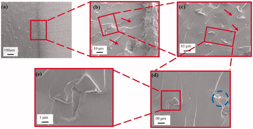 Figure 7. Fracture surface of the 0.125 vol% epoxy/GnP nanocomposite adhesives.