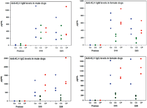 Figure 1.  Anti-KLH IgM and IgG individual responses. Male (n = 3) and female (n = 3) Beagle dogs treated orally with water (controls), 25 mg/kg cyclosporine daily, or 2 mg/kg cyclophosphamide 4 days/week from Day 1 of a 4-week treatment period, were injected intramuscularly with 5 mg KLH on Day +11. Serum anti-KLH IgM and IgG were measured using a sandwich ELISA before treatment and subsequently on Days +18 and +23 (to measure IgM anti-KLH antibody response) and on Days +23 and +28 (to measure IgG anti-KLH antibody response).