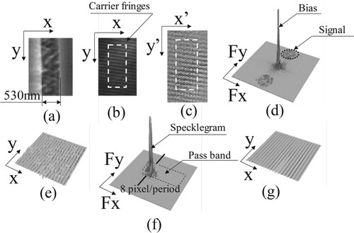 Figure 5. Image processing. (a) SEM image. (b) Speckle pattern. (c) Artificial speckle pattern as second speckle pattern. (d) Speckle pattern in frequency domain. (e) Specklegram. (f) Specklegram in frequency domain. (g) Filtered specklegram.