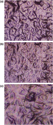 Figure 7 Texture observed upon heating (a) at 27, (b) at 33 and (c) 35 °C, respectively (magnification ×100).