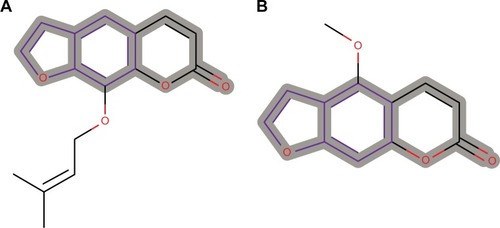 Figure 8 Psoralen substructure responsible for chromosome damage predicted as CERTAIN for two compounds from the AfroCancer dataset.