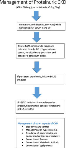 Figure 3 Management of CKD with proteinuria.