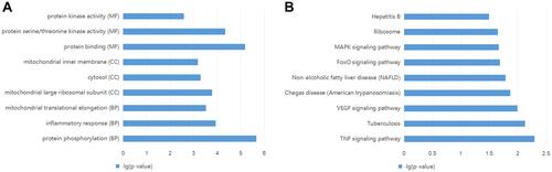 Figure 3 Functional analyses of differentially expressed genes (DEGs) in myocardial infarction (MI). (A) The top three enriched gene ontology (GO) terms in biological process (BP), cellular component (CC) and molecular function (MF); (B) the top nine enriched Kyoto Encyclopedia of Genes and Genomes (KEGG) pathways.