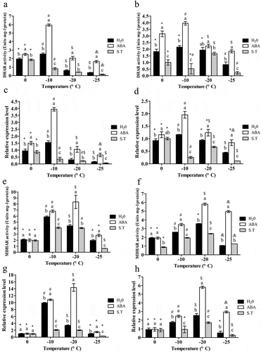 Figure 5. Effect of exogenous ABA on DHAR and MDHAR activity and TaDHAR and TaMDHARexpression of the ‘dn1ʹ variety.