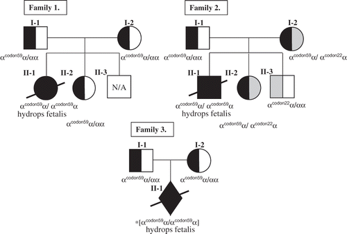 FIGURE 1 Pedigrees and genotypes of the three family members. *Presumed genotype based on parental genotypes; N/A = not available.