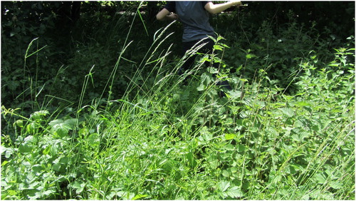 Figure 2. The overgrown railway track allowed the children to determine what can be done there.