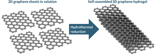 Figure 7 Synthesis of self-assembled graphene hydrogel by hydrothermal reduction reaction. The homogeneous GO dispersed in water was sealed in a Teflon-lined autoclave and hydrothermally treated at 180 °C for 12–44 hours. Next, the autoclave is cooled to room temperature, and the synthesized self-assembled graphene hydrogel is removed and dried with filter paper to remove the water adsorbed on the surface.