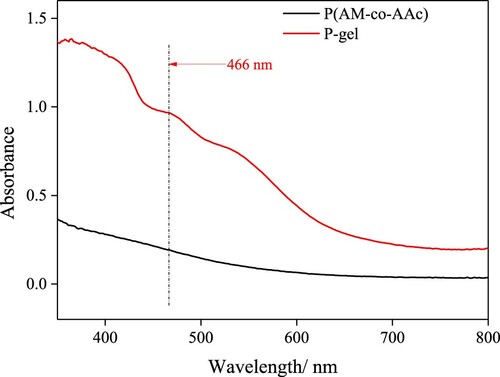 Figure 5. UV spectra of P(AM-co-AAc) and P-gel.