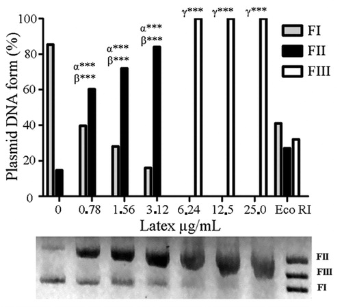 Figure 3. Damage profile to plasmid DNA after treatment with CCS at 0.78–25 µg/mL Statistically significant differences (p < 0.001) in the abundance of FI, FII and FIII plasmid forms between the CSS treatments and the NC are denoted by α***, β*** and γ***, respectively, (n = 3). NC, NC treated with saline; PC, PC plasmid linearized with EcoRI. Tests were performed in triplicate and results are expressed as Mean ± SD.