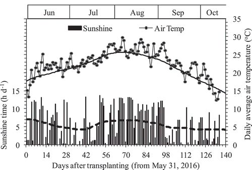 Figure 1. Daily sunshine time (■) and average air temperature (●) during the experiment period from 31 May to 13 October 2016 in Tsuruoka, Japan. The bold line and dish line crossed Air Temp and Sunshine time are the average values for 1981–2010 (Av. 30 years). Data was from Japan Meteorological Agency.