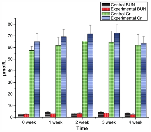 Figure 7 Renal function of beagle dogs in 4-week toxicity study of Fe3O4@Au composite MNPs.Notes: n = 6, mean ± standard deviation. BUN and Cr of the experimental group administered with Fe3O4@Au composite MNPs showed no significant difference compared with the control group (P > 0.05).Abbreviations: MNPs, magnetic nanoparticles; BUN, blood urea nitrogen; Cr, creatinine.