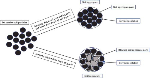 Figure 8. Soil aggregate formation and aggregate pore after spraying different doses Jag S and Jag C162.