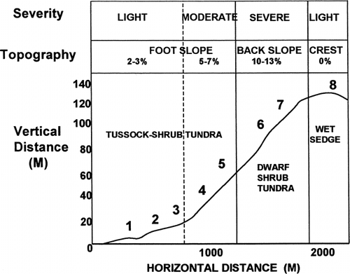 FIGURE 3. Profile of Nimrod Hill showing location of sites in relation to slope, vegetation type, and burn severity