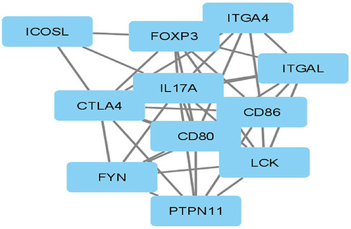 Figure 6 Interaction network of CTLA-4 protein.