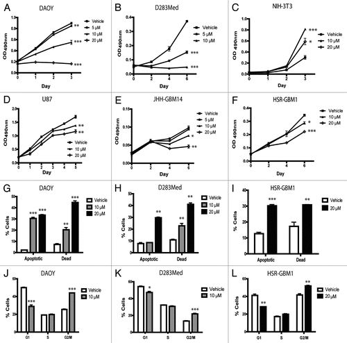 Figure 1 Growth of brain tumor cell lines is selectively inhibited by nanocurcumin via programmed cell death and cell cycle arrest. MTS assays performed on brain tumor cell lines DAOY (A), D283Med (B), U87 (D), JHH-GBM14 (E) and HSR-GBM1 (F) showed significant growth reduction after treatment over the period of time indicated. This was due to both apoptotic induction (G–I) and G2/M cell cycle arrest (J–L). However, the non-neoplastic NIH-3T3 line instead showed greater growth after nanocurcumin treatment (C). Statistical significance was calculated using the final time points in (A–F). *p < 0.05, **p < 0.01, ***p < 0.001 compared to vehicle.